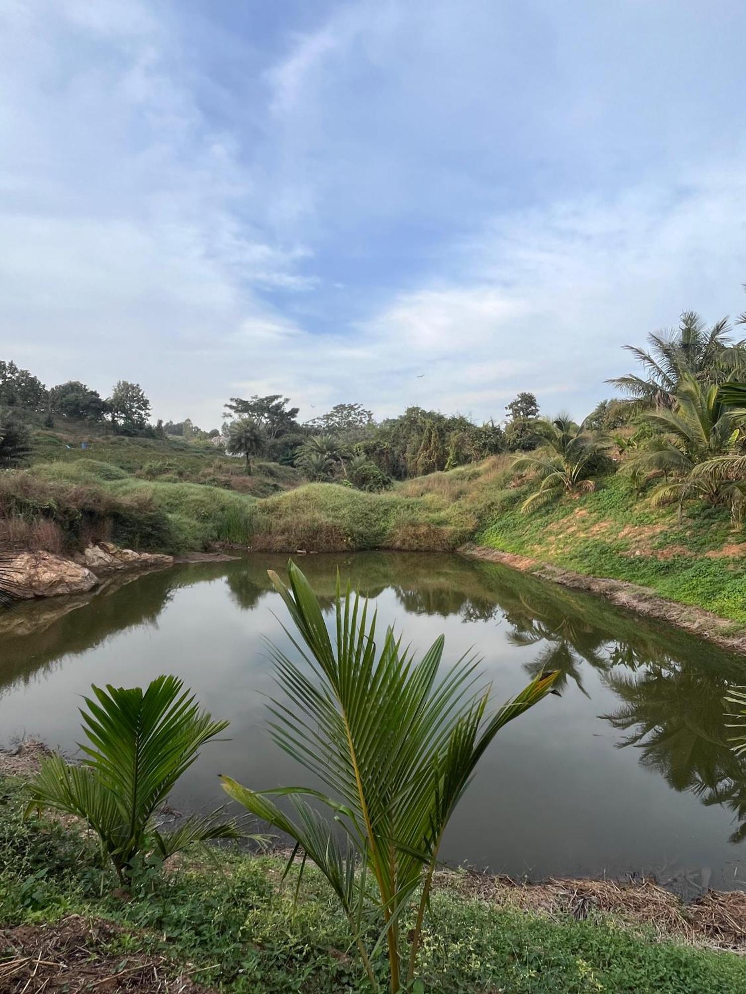 Gandhadagudi Nature Retreat Bangalore Ngoại thất bức ảnh