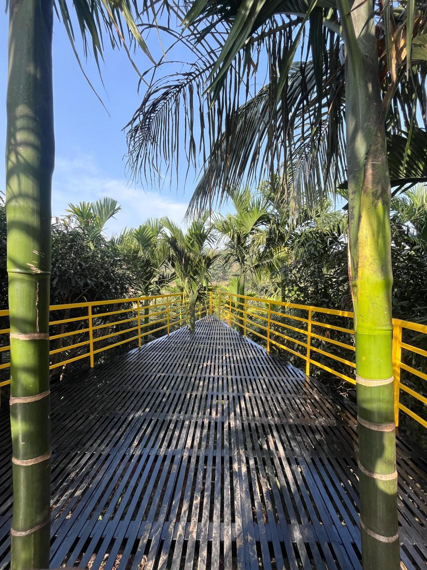 Gandhadagudi Nature Retreat Bangalore Ngoại thất bức ảnh